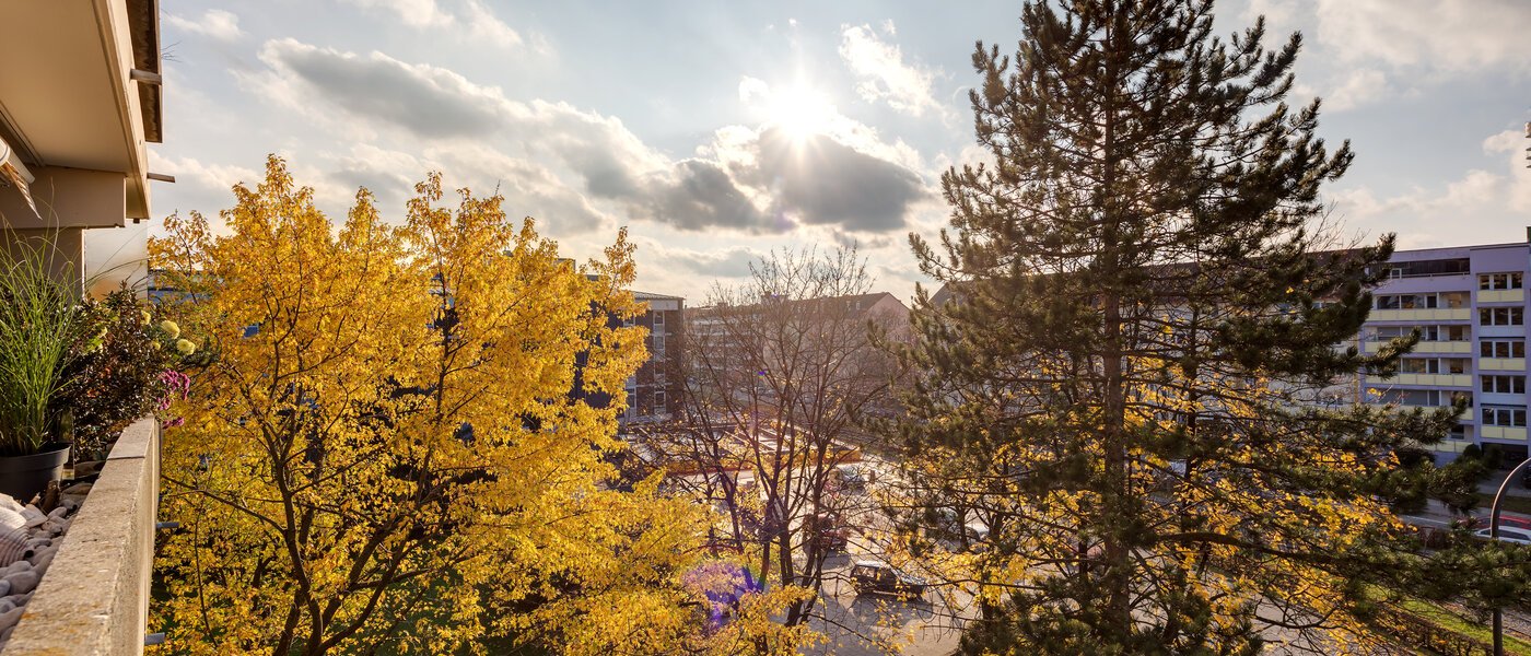 apartamento München Schwabing 02 vista 7050