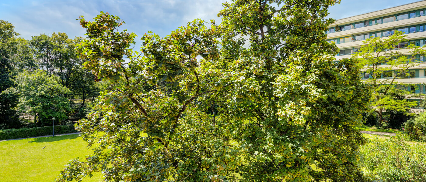 apartamento München Mittersendling 02 vista 7100