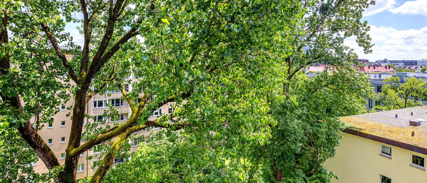 apartamento München Bogenhausen 04 vista 7308