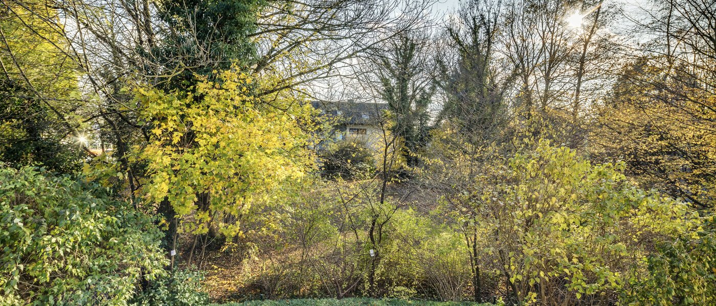 dúplex München Fasanerie 01 vista 7475