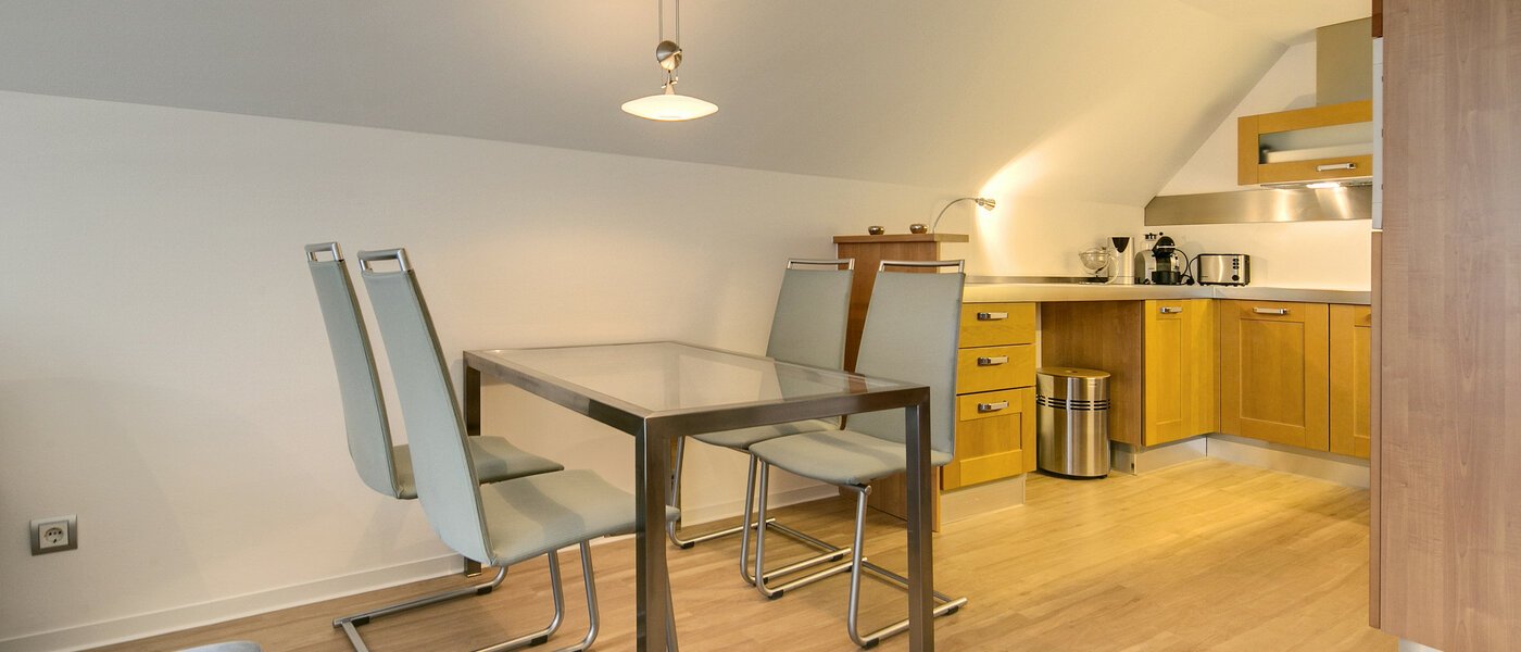 apartamento München Maxvorstadt - Universitätsviertel 01 cocina 7512