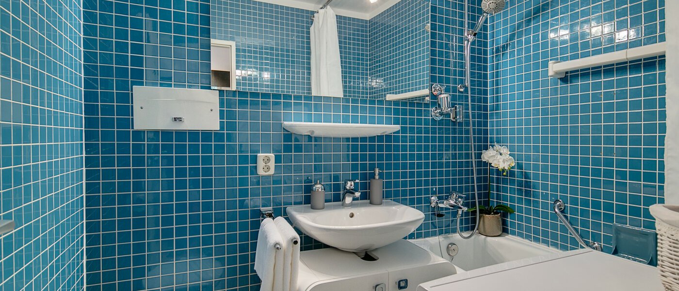 apartamento München Nymphenburg 01 baño 7880