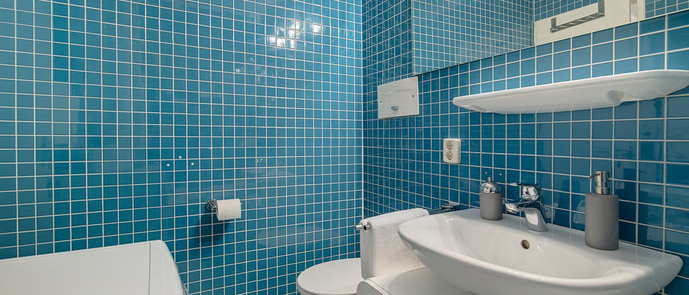 apartamento München Nymphenburg 04 baño 7880