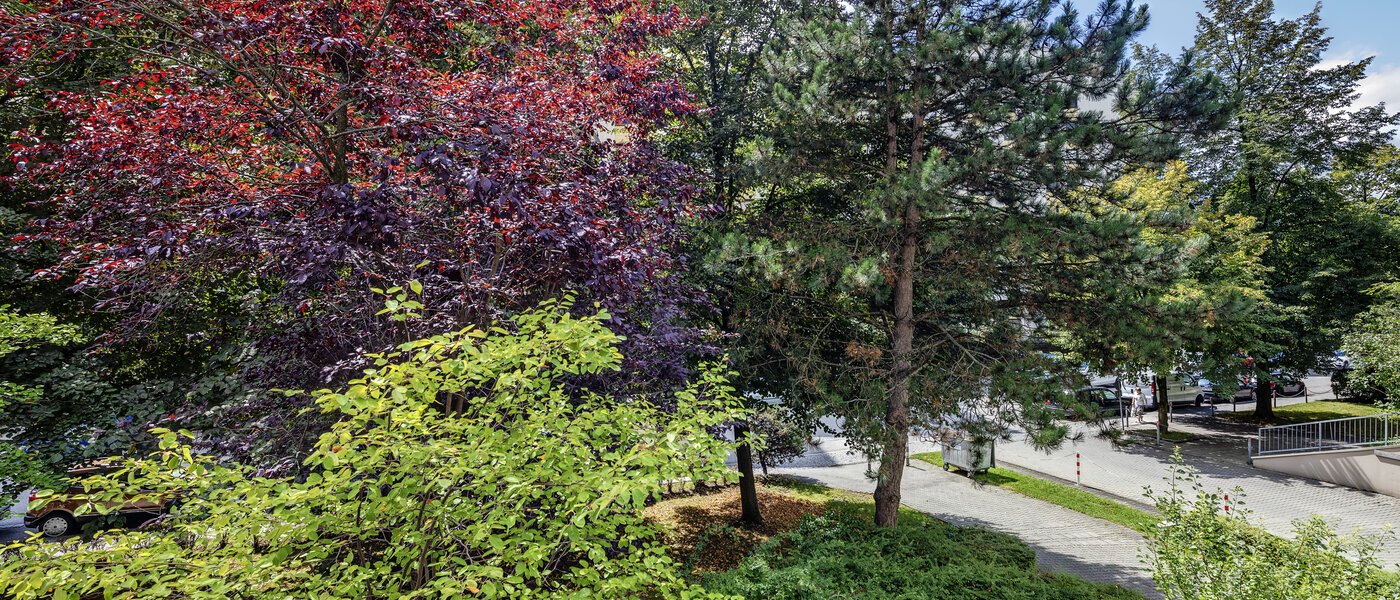 apartamento München Haidhausen 02 vista 7905