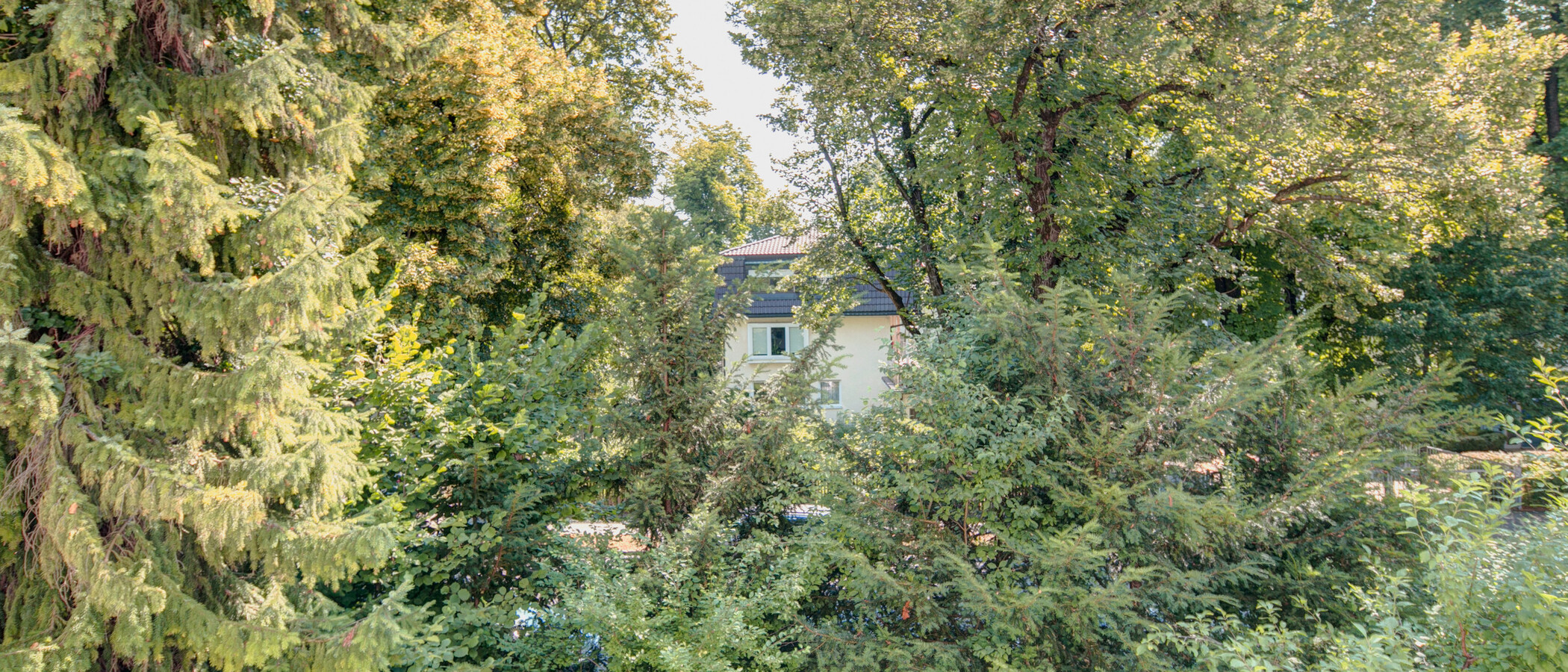 apartamento München Nymphenburg 05 vista 7938