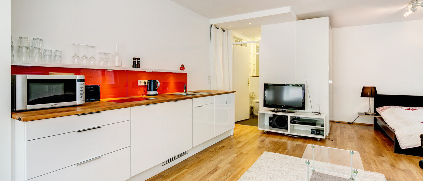 apartamento München Nymphenburg 04 salón 8077