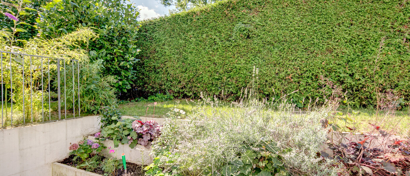 apartamento München Nymphenburg 02 jardín 8077