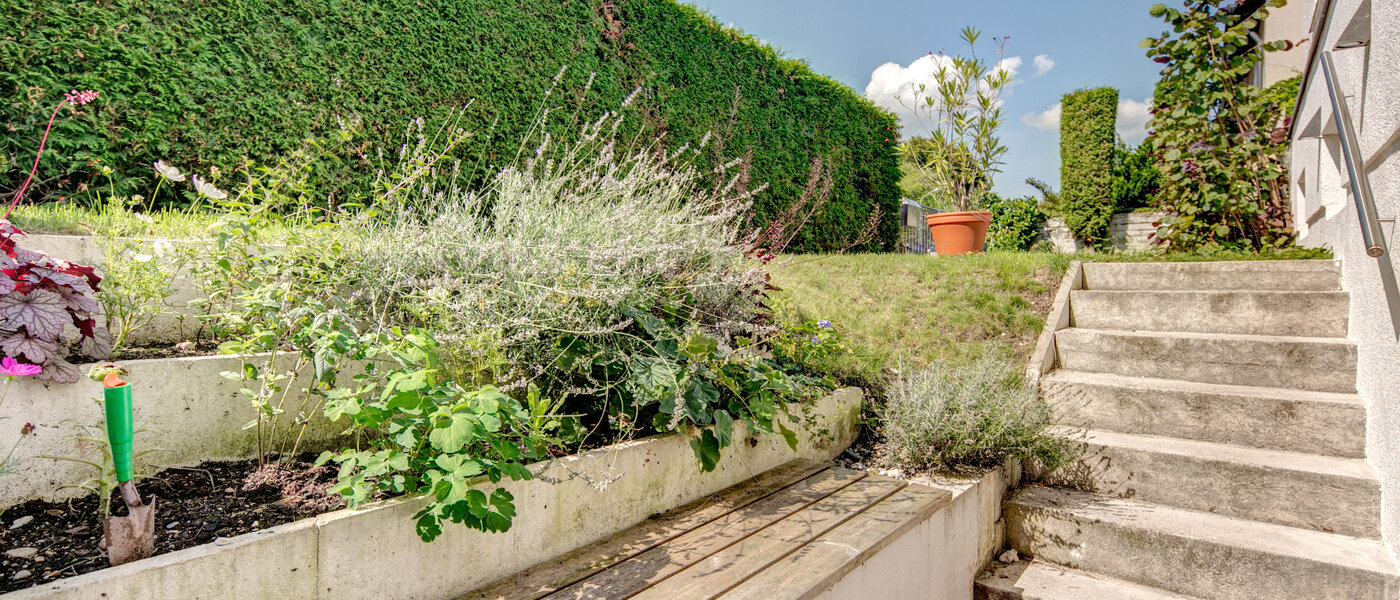 apartamento München Nymphenburg 02 terraza 8077