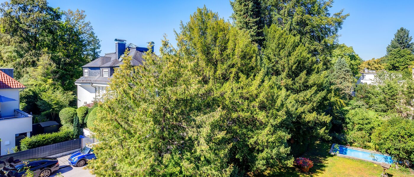 ático München Menterschwaige 01 vista 8181