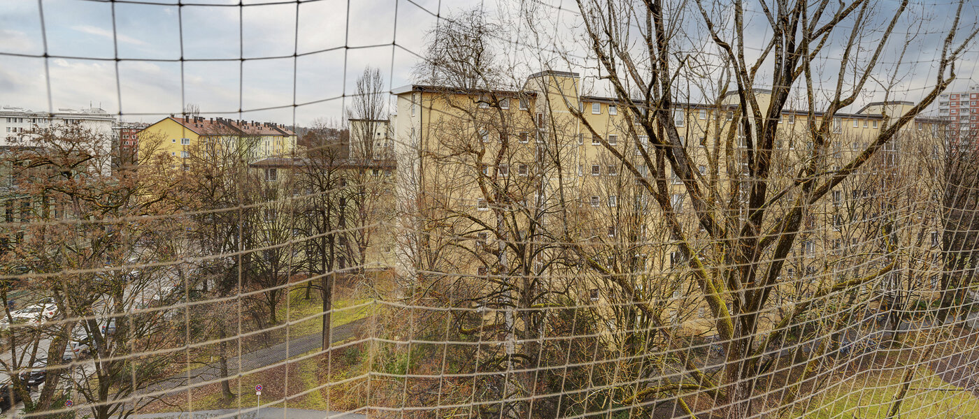 apartamento München Bogenhausen 02 vista 8368