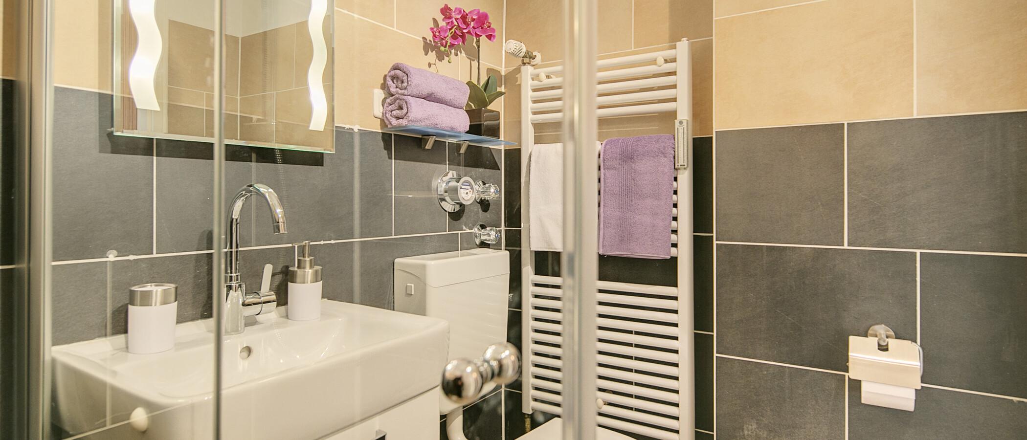 piso con jardín München Maxvorstadt 02 baño 8378