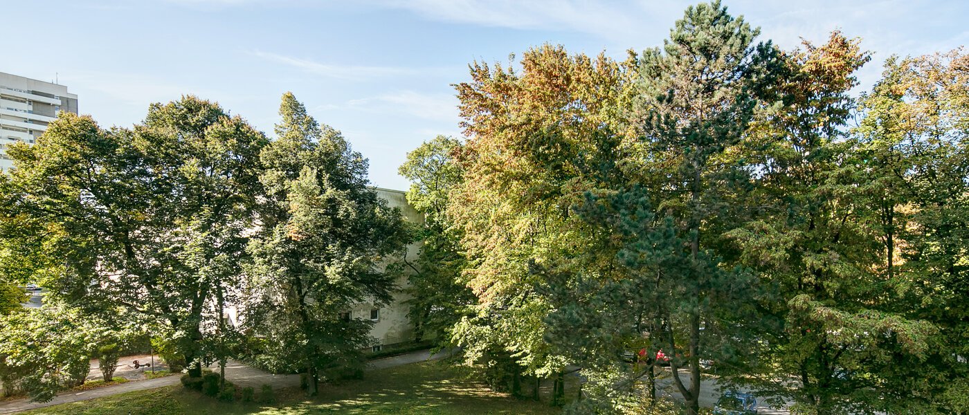 apartamento München Englschalking 01 vista 8399