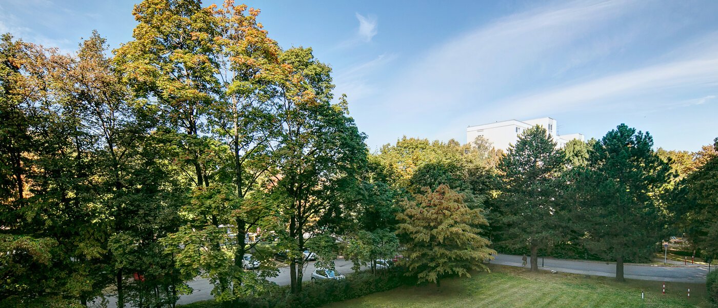 apartamento München Englschalking 02 vista 8399