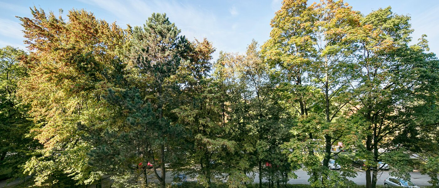 apartamento München Englschalking 03 vista 8399