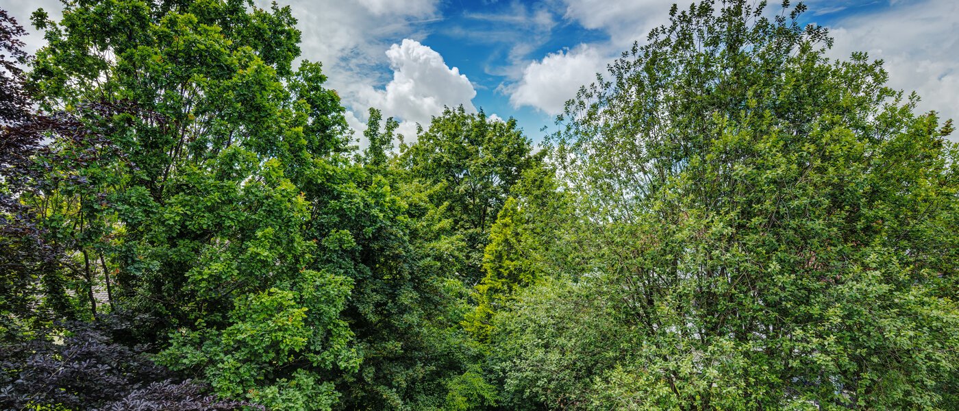 apartamento München Ramersdorf 02 vista 8588