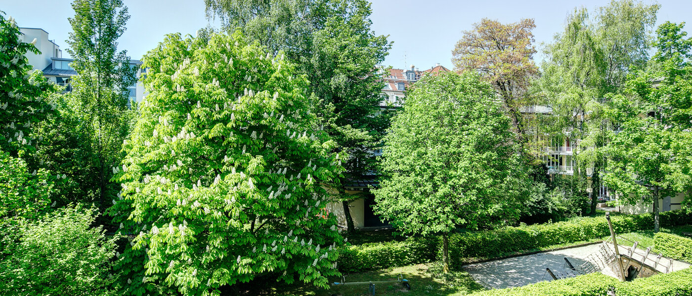 apartamento München Maxvorstadt - Universitätsviertel 02 vista 8629