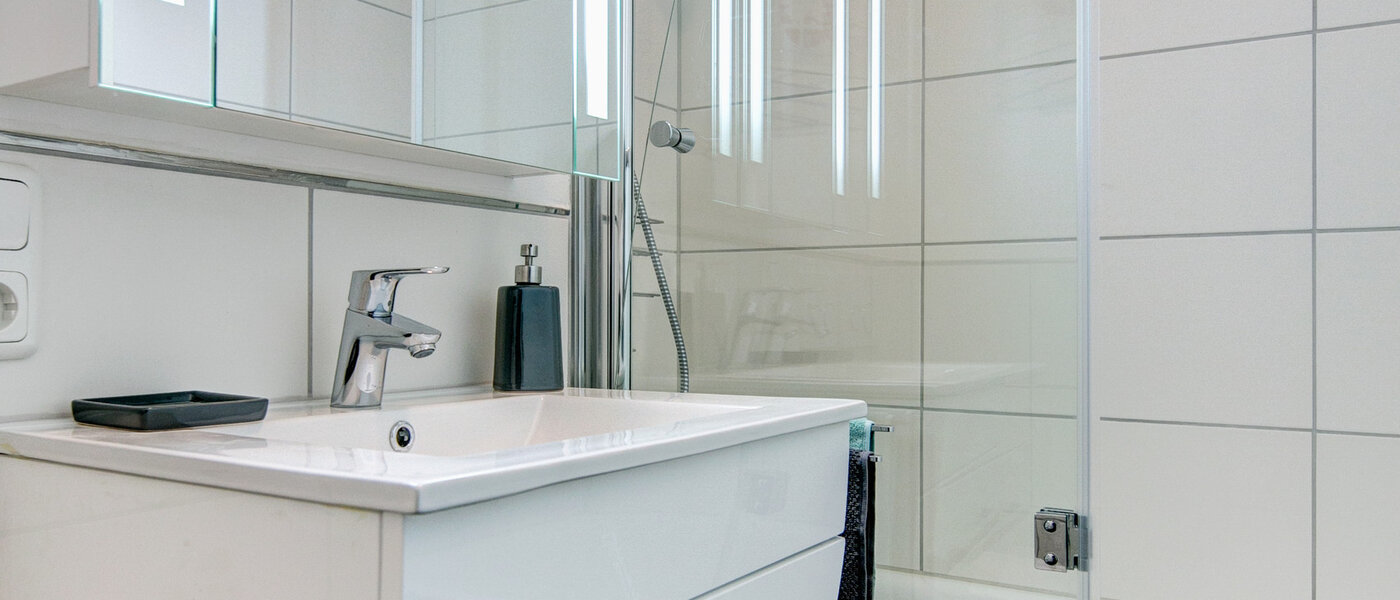 dúplex München Nymphenburg 01 baño 8639