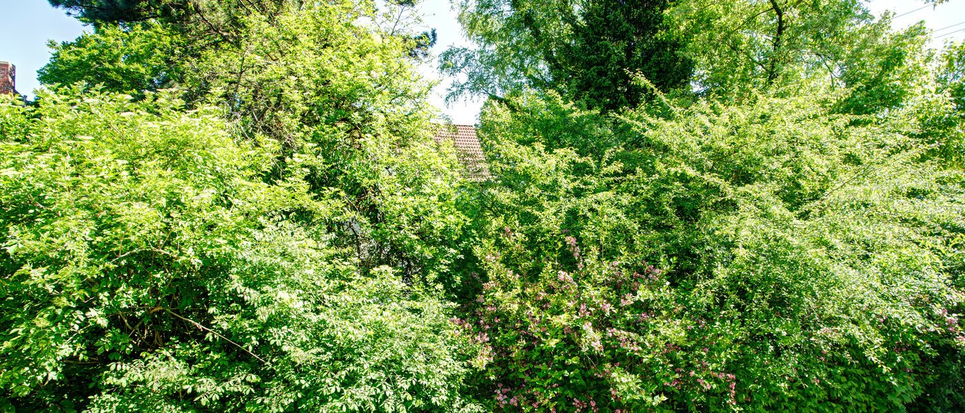 apartamento München Freimann 04 vista 8673