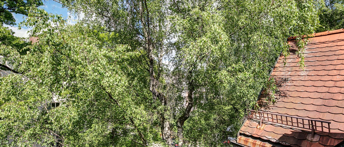 ático München Solln 03 vista 8785