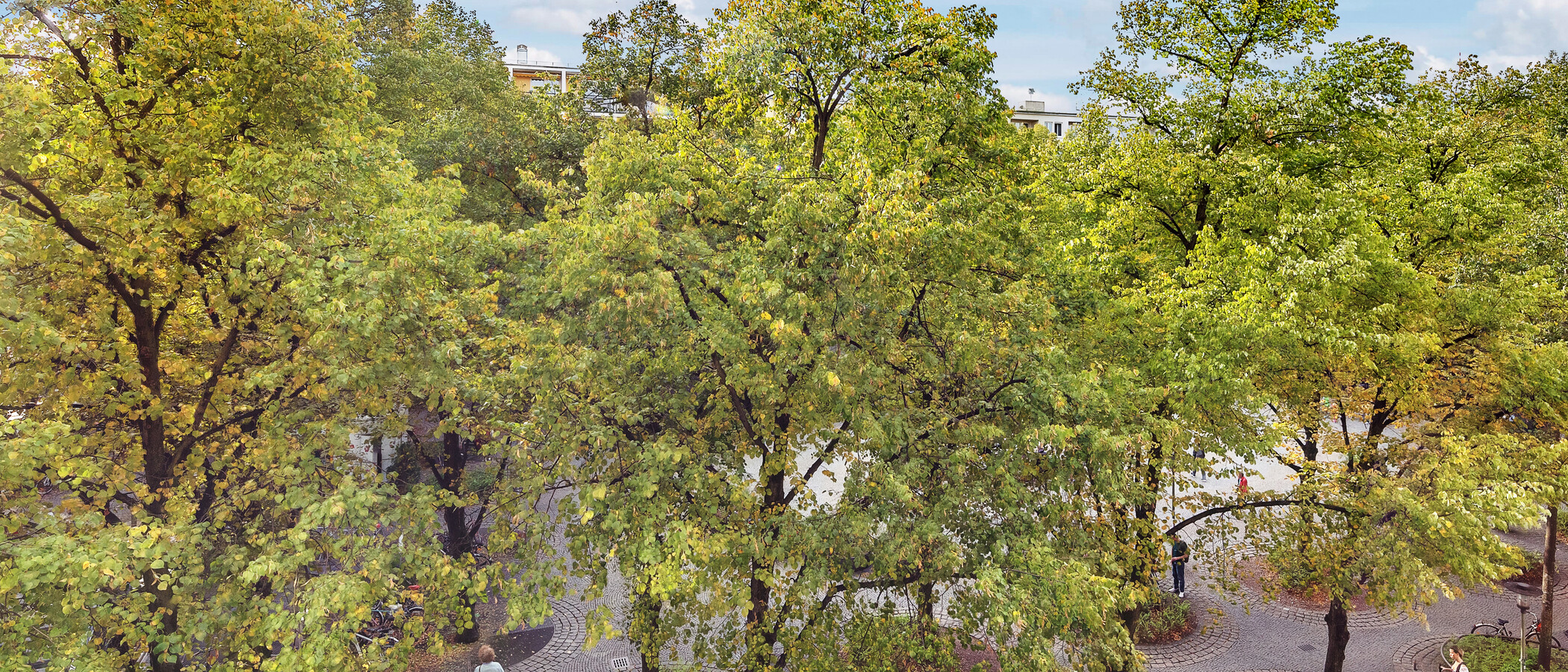 apartamento München Schwabing-West (rund um den Hohenzollernplatz) 01 vista 8850