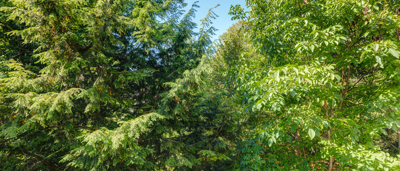 apartamento München Sendling-Westpark 02 vista 8875