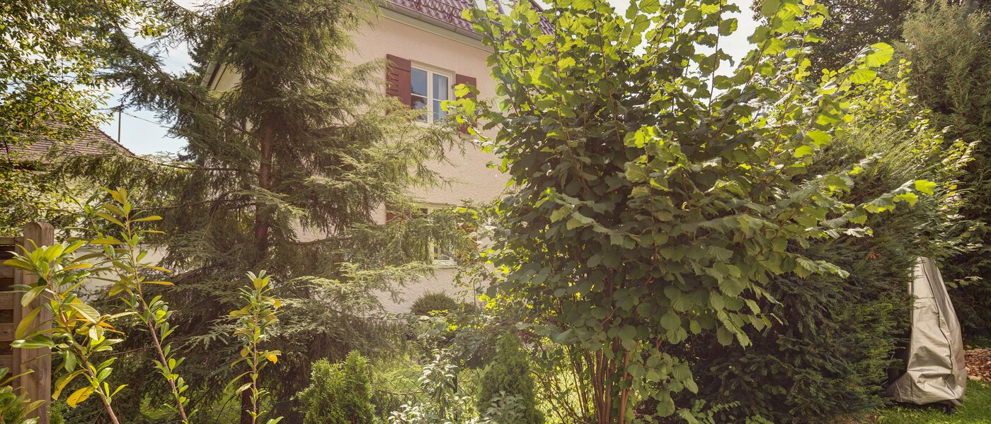 apartamento Gräfelfing 01 vista 8902