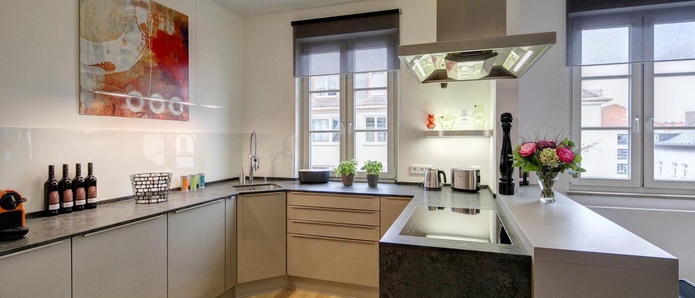 apartamento München Maxvorstadt - Universitätsviertel 01 cocina 9074