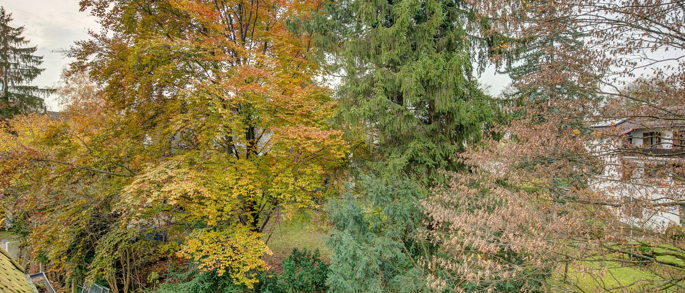 ático Gräfelfing 02 vista 9079