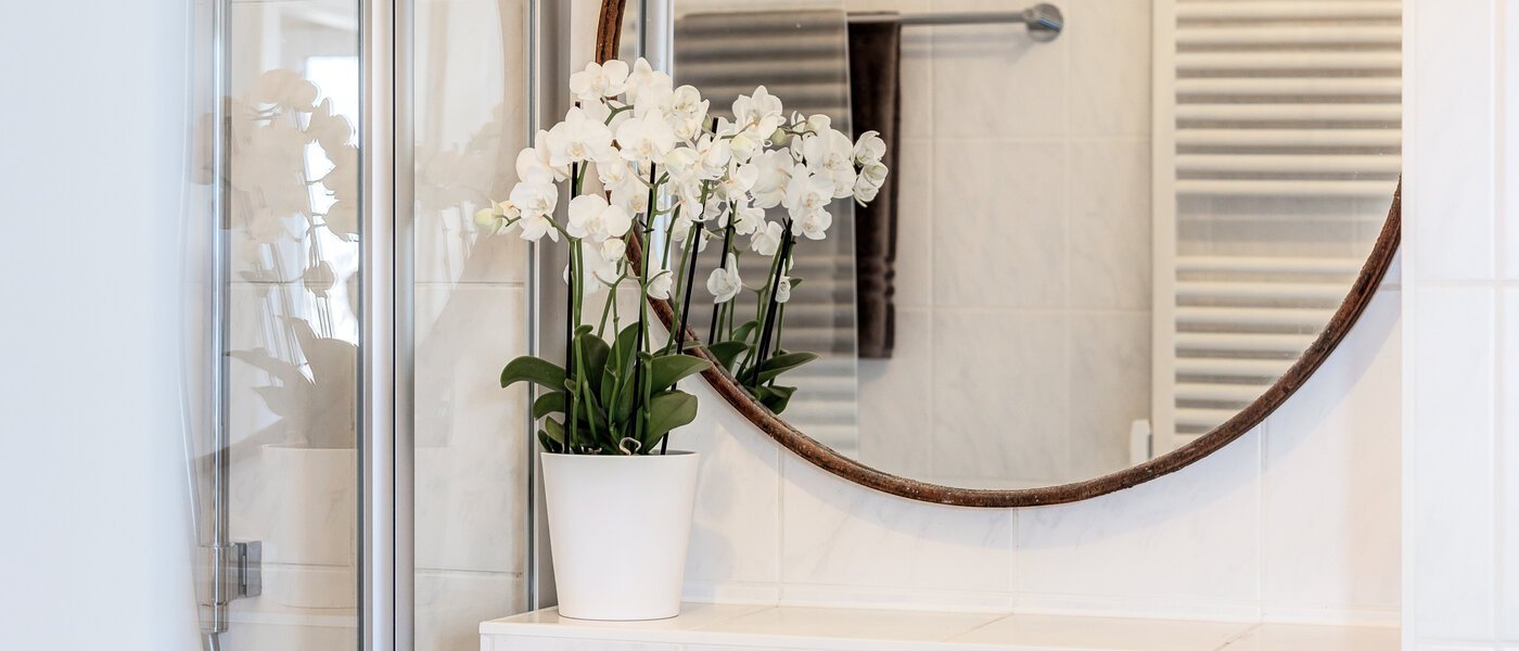 apartamento München Schwabing-West (rund um den Hohenzollernplatz) 02 baño 9209