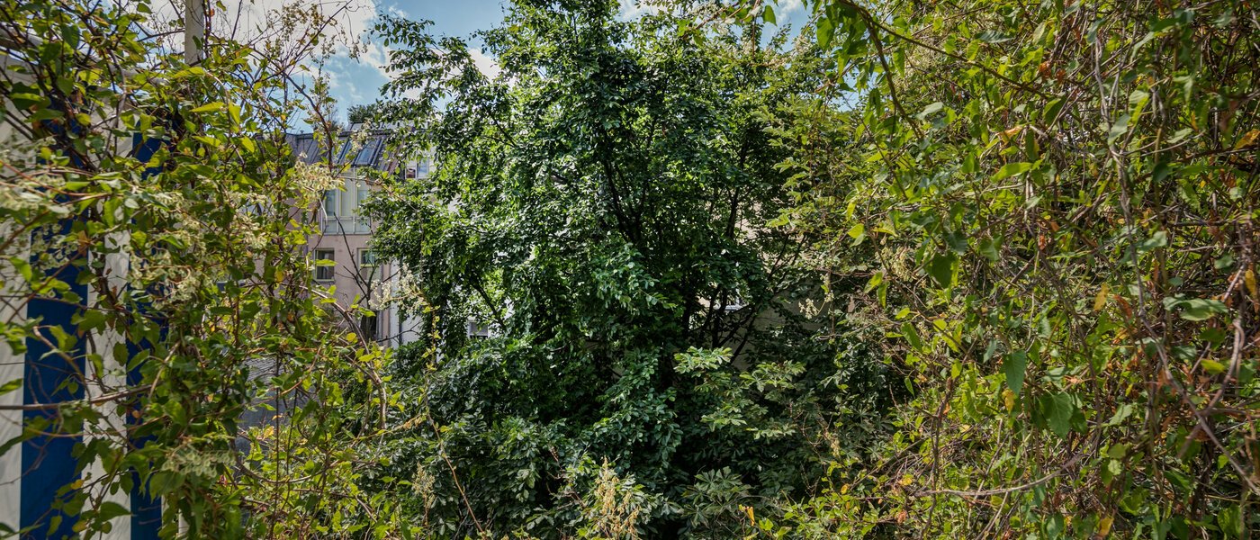 apartamento München Schwabing 02 vista 9272