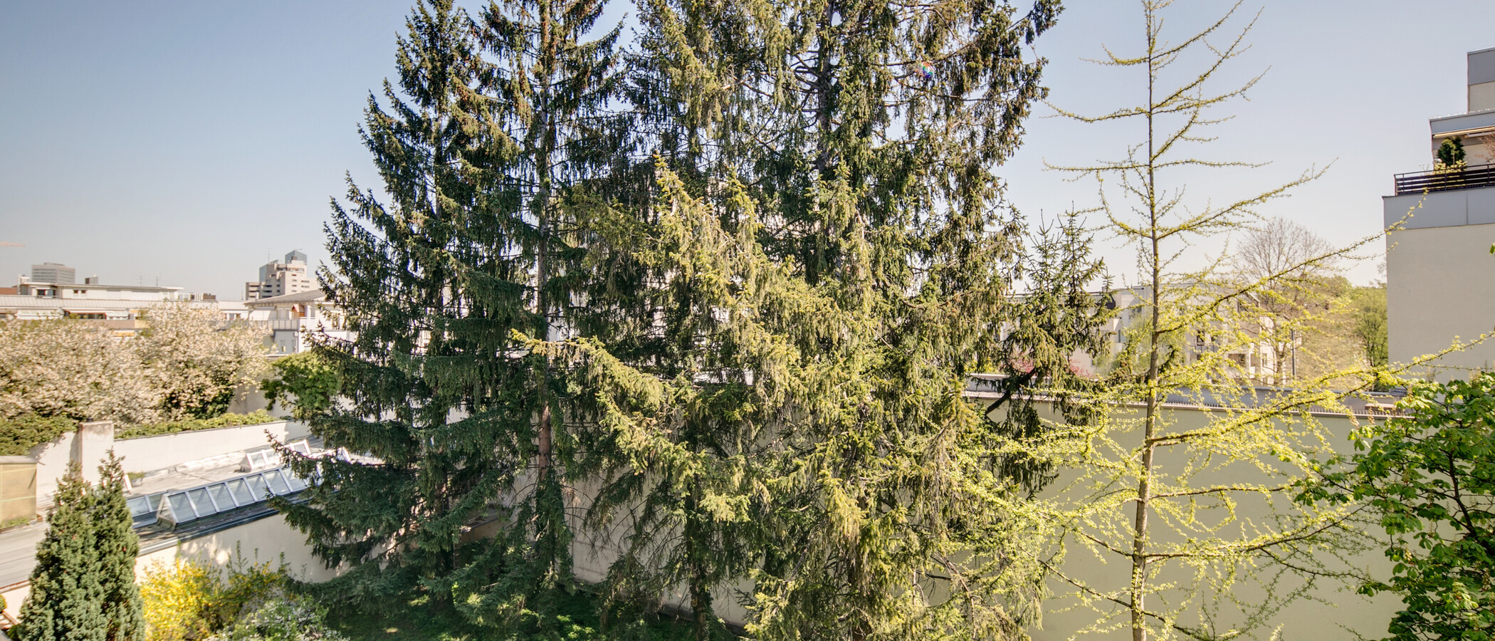 apartamento München Schwabing (rechts der Leopoldstraße) 01 vista 9457