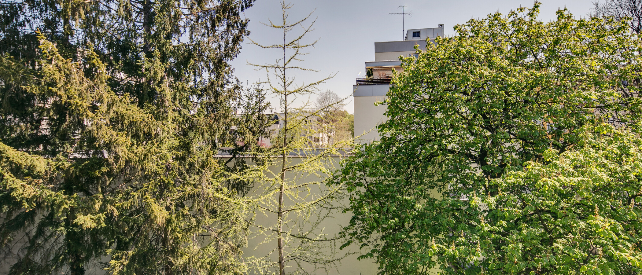 apartamento München Schwabing (rechts der Leopoldstraße) 02 vista 9457
