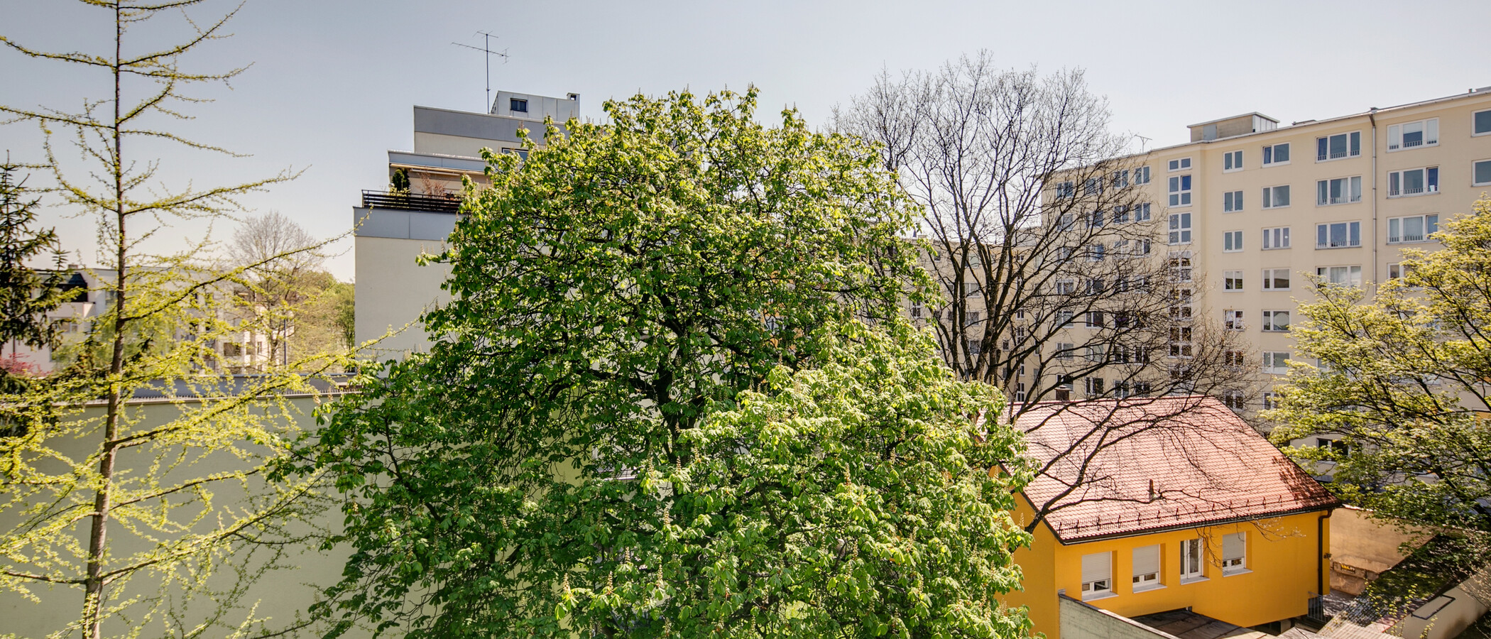 apartamento München Schwabing (rechts der Leopoldstraße) 03 vista 9457