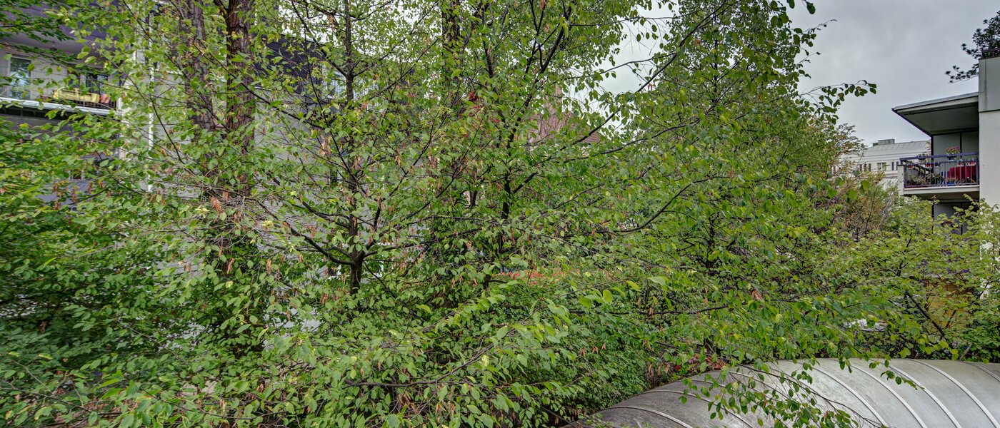 apartamento München Haidhausen 02 vista 9683