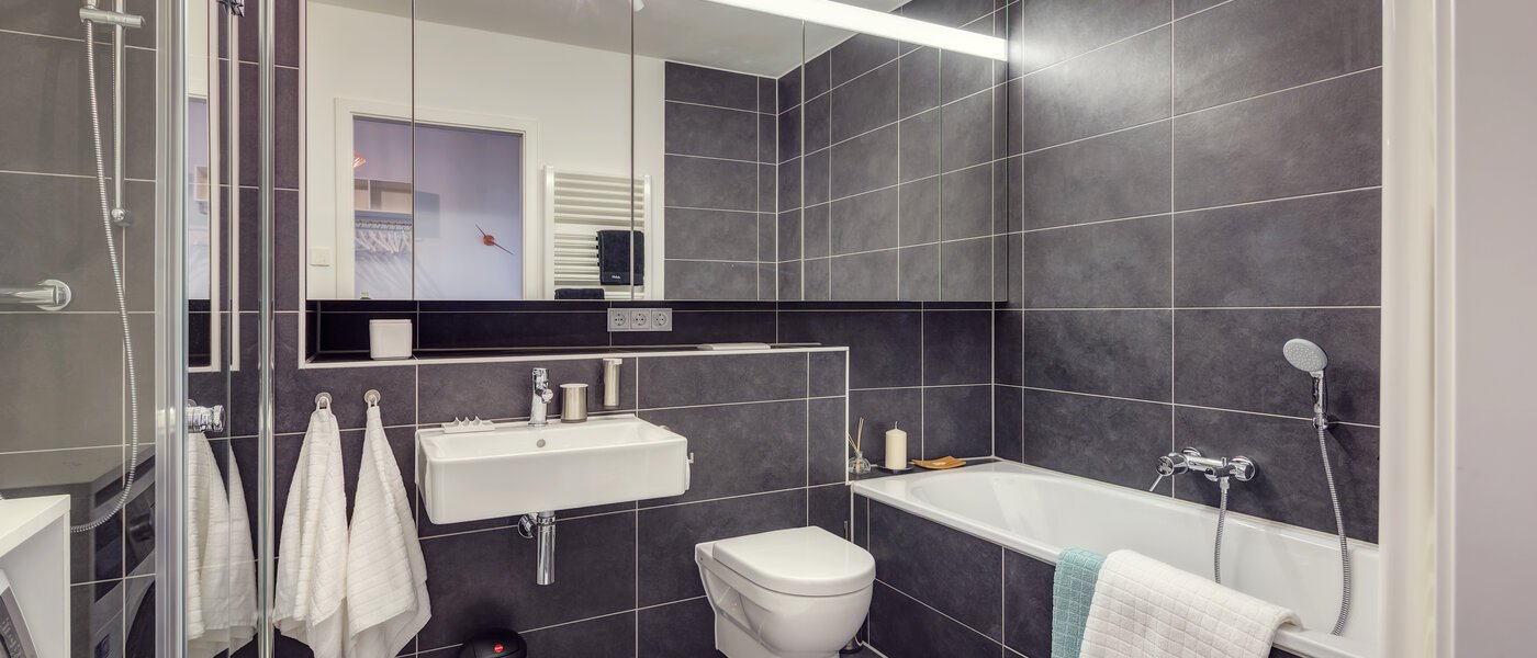 apartamento München Isarvorstadt 01 baño 9687