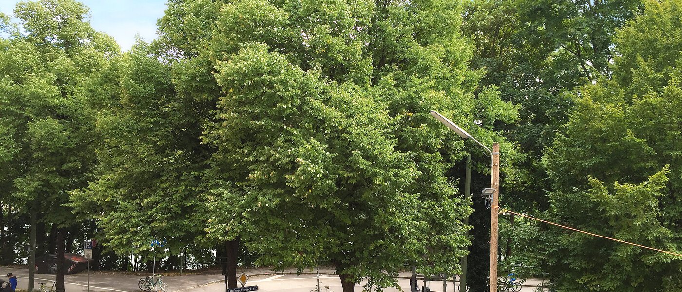 apartamento München Isarvorstadt 03 vista 9687