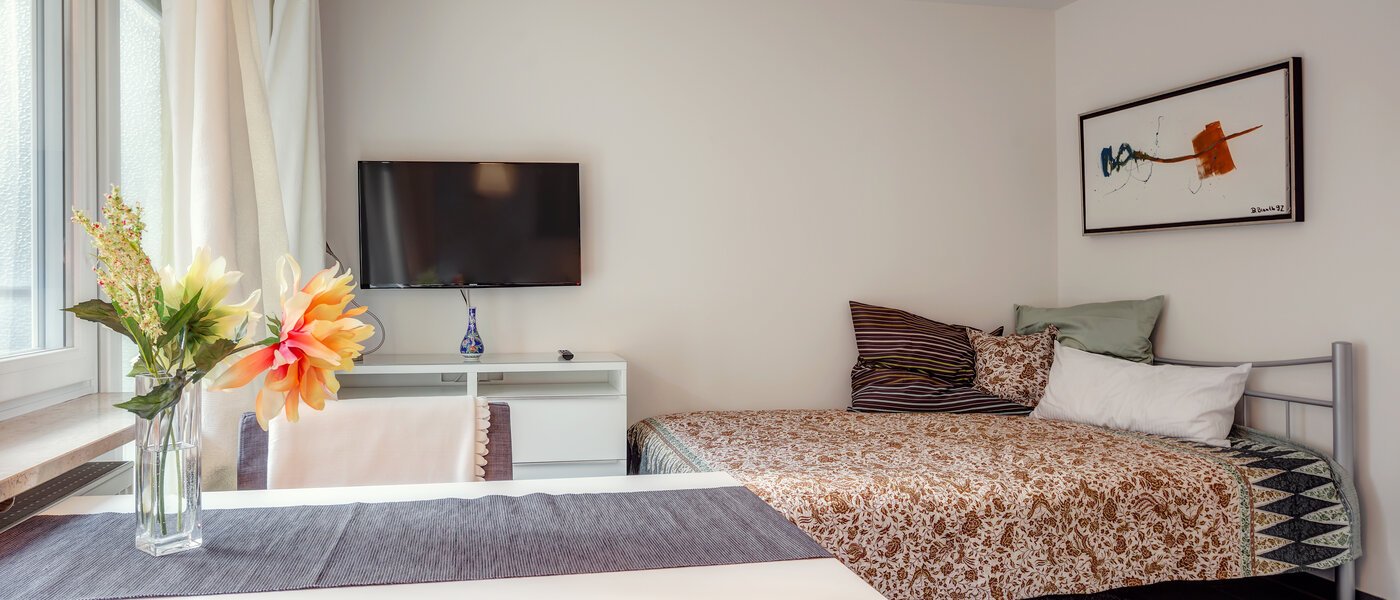 apartamento München Schwabing (rechts der Leopoldstraße) 01 salón 9736