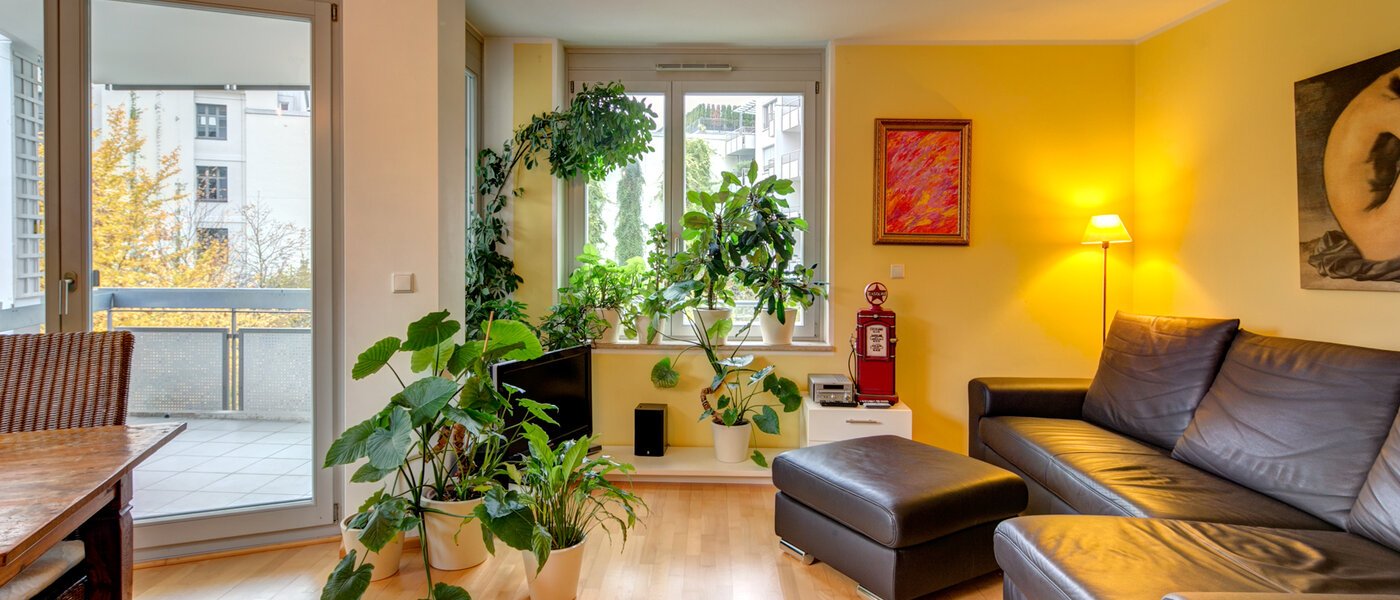 por el momento no esta disponible