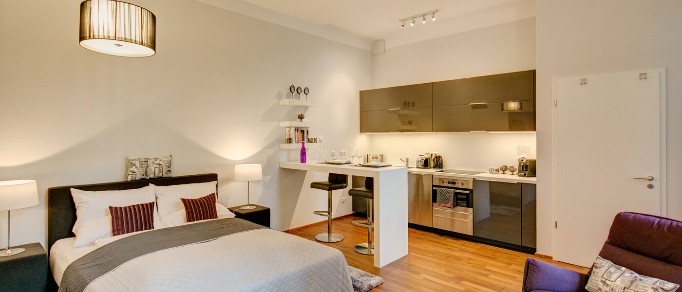 apartamento München Ludwigsvorstadt 04 salón 9771