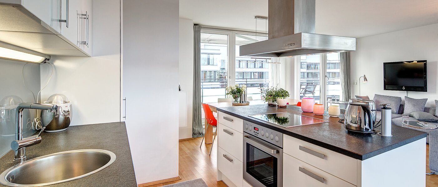 ático lujoso München Obergiesing 02 cocina 9778