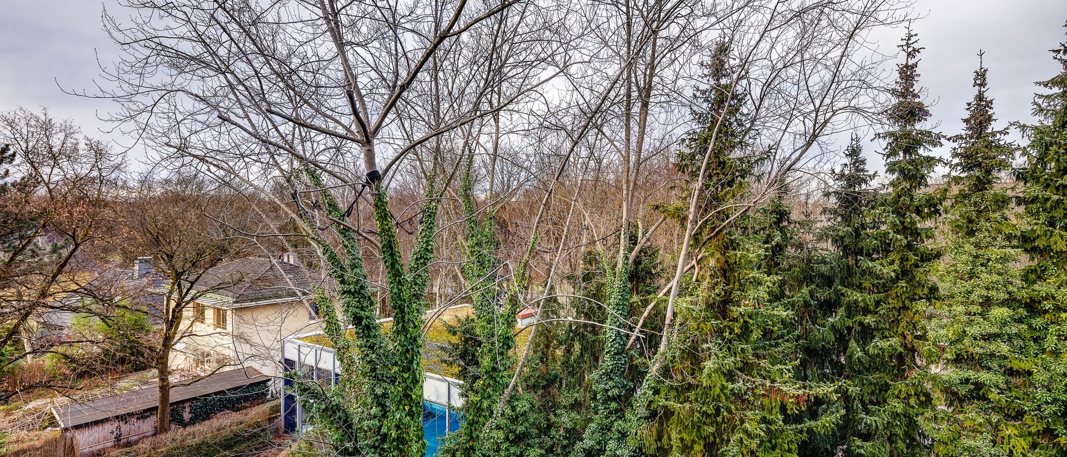 apartamento München Schwabing-Nord (zw. Leopoldstraße & Englischen Garten) 01 vista 9789