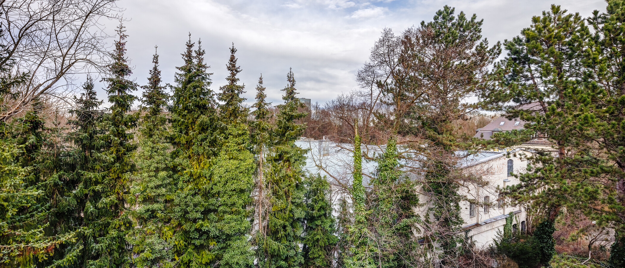 apartamento München Schwabing-Nord (zw. Leopoldstraße & Englischen Garten) 02 vista 9789