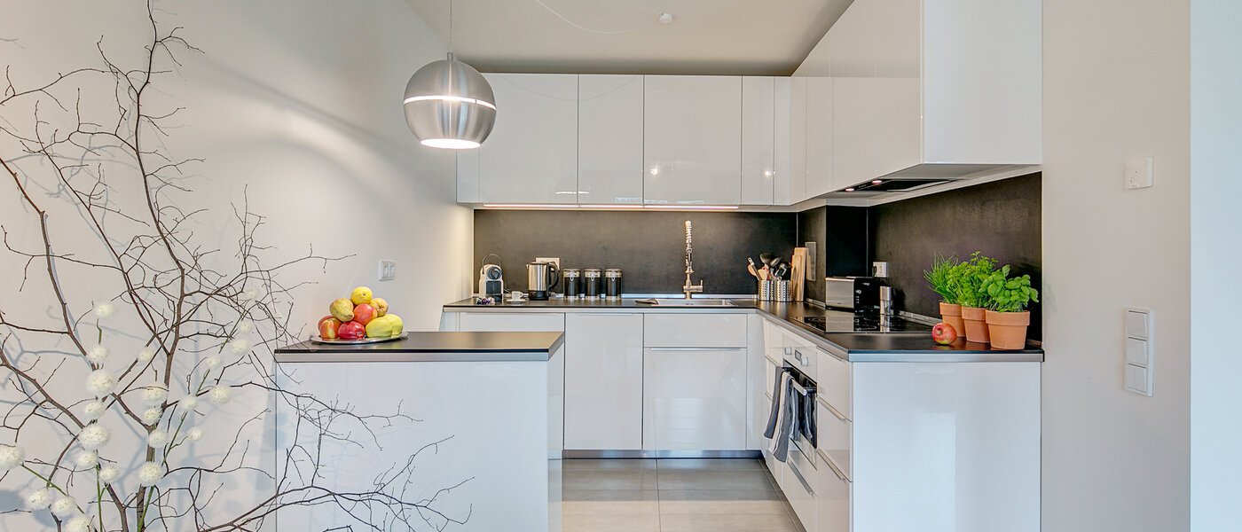 apartamento München Schwabing-Georgenschwaige 01 cocina 9904