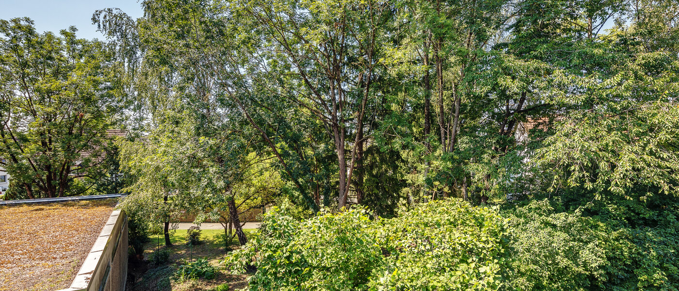 apartamento München Moosach 02 vista 9941