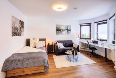 Amplio apartamento de 1 habitación al norte de Munich en alquiler