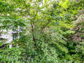 apartamento München Maxvorstadt 02 vista 10870