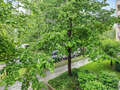 apartamento München Oberföhring 04 vista 11585