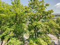 apartamento München Milbertshofen 01 vista 11650