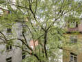 apartamento München Schwabing (links der Leopoldstraße) 01 vista 1262