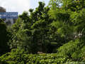 apartamento München Gärtnerplatzviertel 01 vista 1348